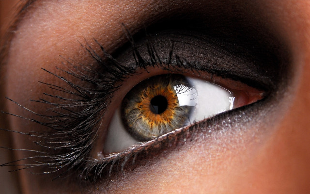 Eye brown yellow iris black free wallpaper - medium preview image