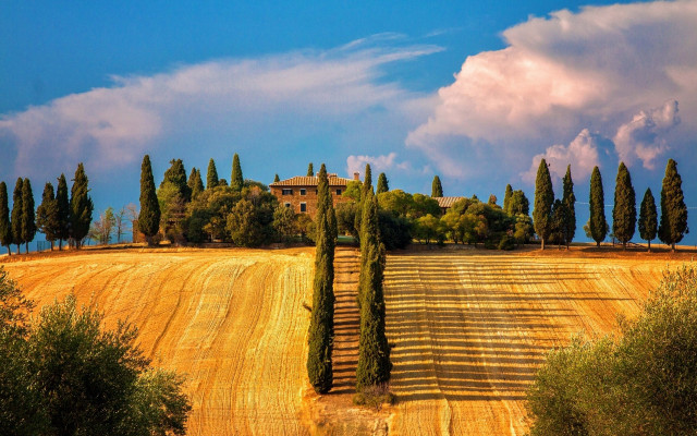 Large field house trees sky free wallpaper - medium preview image