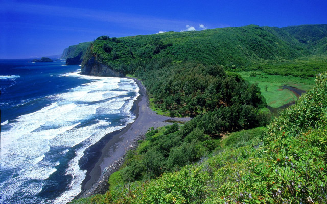 Beach forest mountain lake water free wallpaper - medium preview image