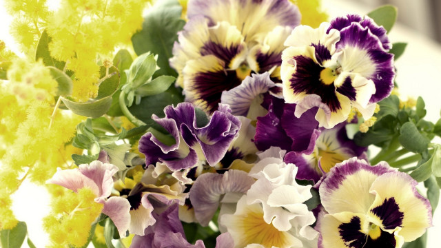 Bouquet purple yellow green sunflower free wallpaper - medium preview image