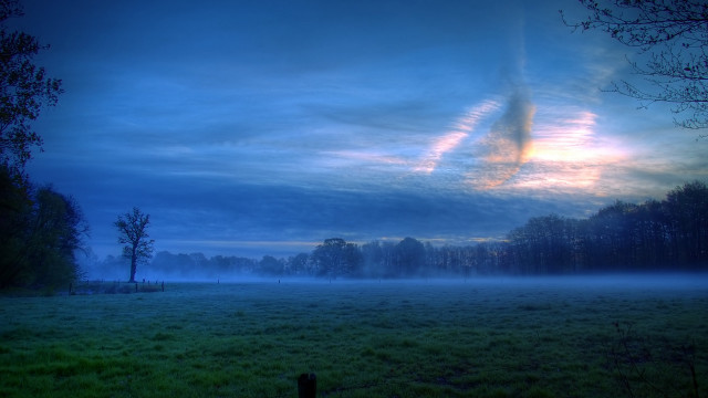 Fenced field trees clouds mist free wallpaper - medium preview image