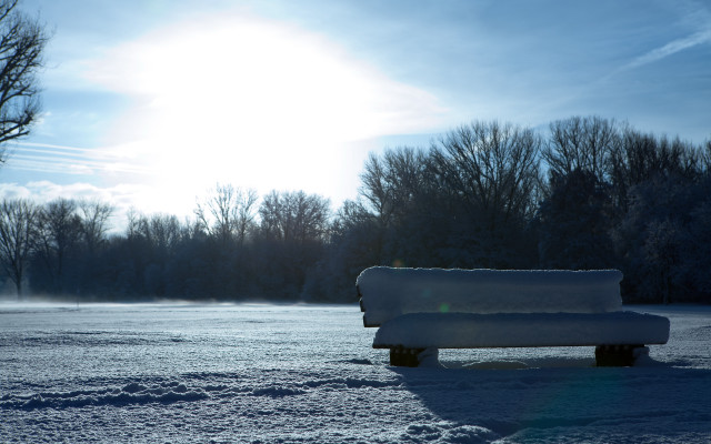 Snowy park bench trees sun free wallpaper - medium preview image