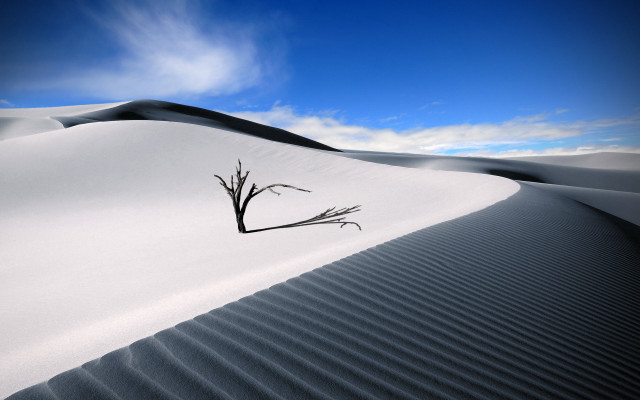 Lone tree desert landscape blue free wallpaper - medium preview image