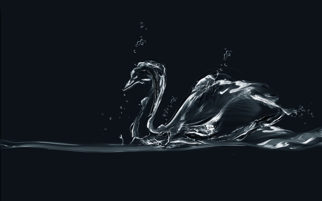 Swan water black background white free wallpaper - medium preview image