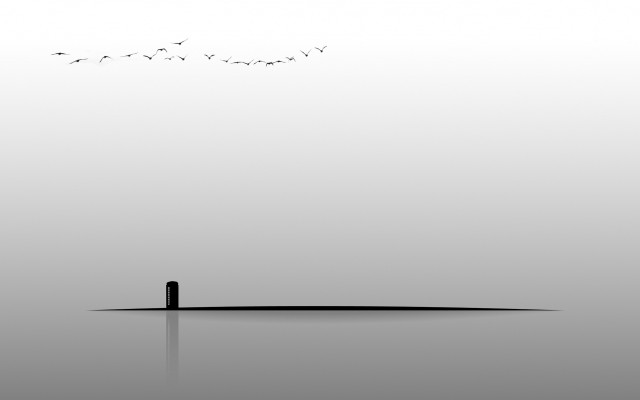 Lone person water birds minimalist free wallpaper - medium preview image