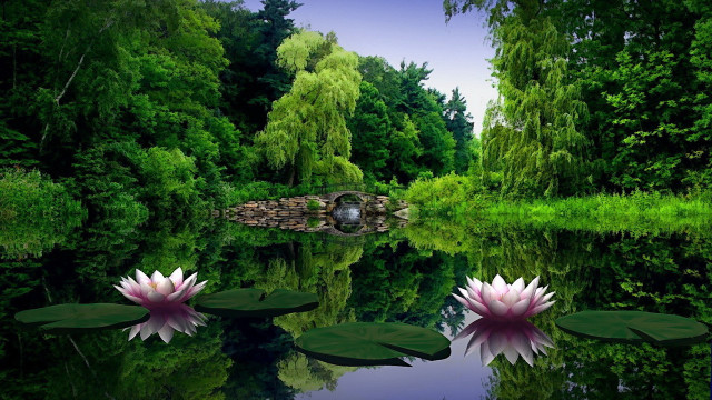Pond water lilies bridge nature free wallpaper - medium preview image