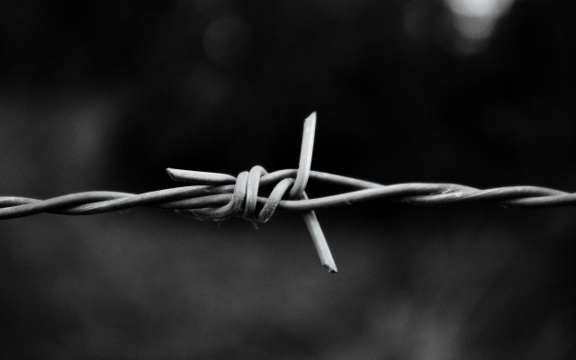 Barbed wire closeup blurry background free wallpaper - medium preview image