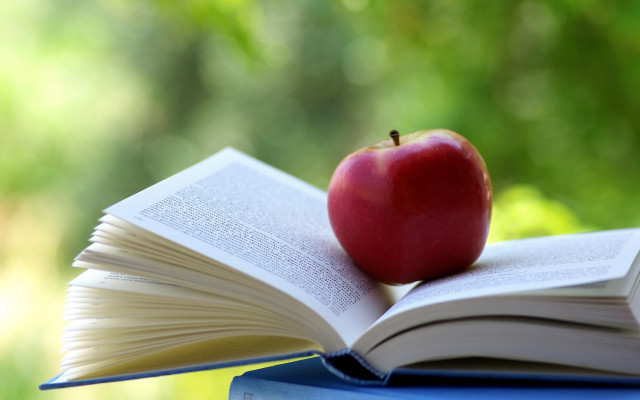 Apple book table outside bokeh free wallpaper - medium preview image