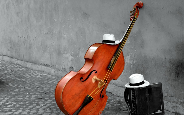 Cello hat street corner wall free wallpaper - medium preview image
