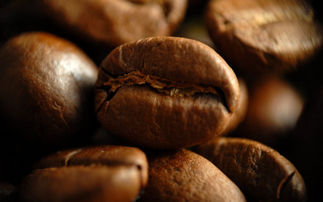Coffee beans bite closeup photorealistic free wallpaper - medium preview image