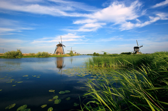 Windmills lake greenfield waterlilies ecological free wallpaper - medium preview image