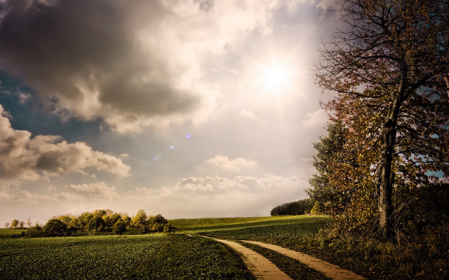 Dirt road green field cloudy #10 free wallpaper - medium preview image