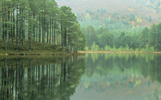 Lake forest mountains reflections ecological free wallpaper - medium preview image