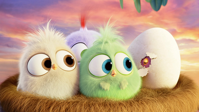 Birds nest egg flying group free wallpaper - medium preview image
