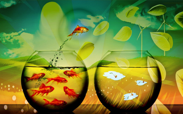Goldfish bowl sky clouds jumping free wallpaper - medium preview image