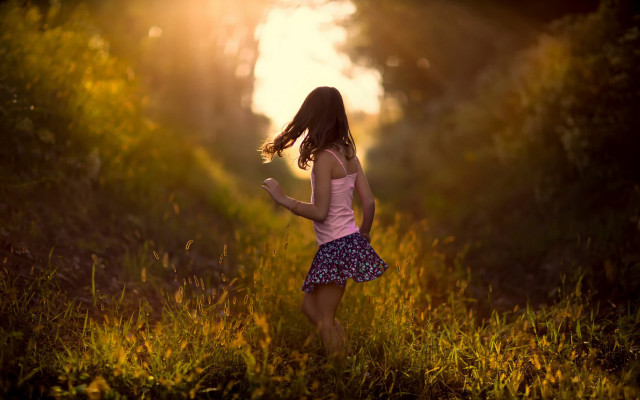 Girl autumn field sunset braid free wallpaper - medium preview image