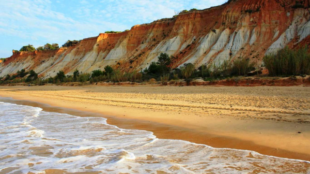 Sandy beach waves cliff trees free wallpaper - medium preview image
