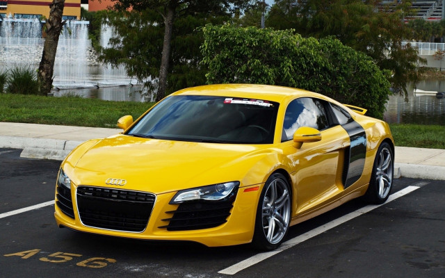 Yellow car parking lot tree free wallpaper - medium preview image