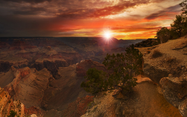Sunset canyon tree bright sun free wallpaper - medium preview image
