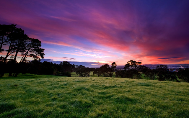 Sunset trees field bush mountain free wallpaper - medium preview image