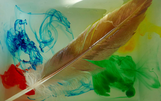 Feather stick water ink horse free wallpaper - medium preview image