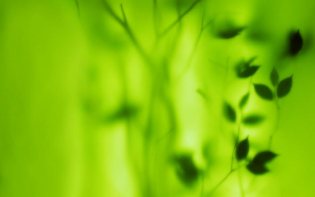 Blurry plant leaves bokeh green free wallpaper - medium preview image