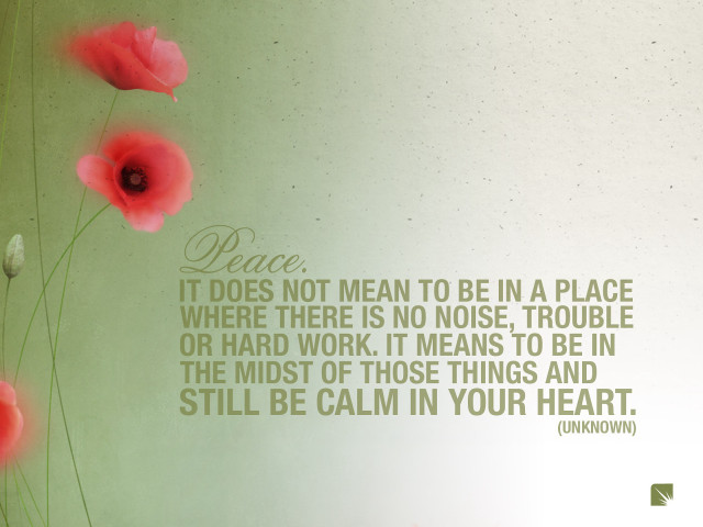 Peace quote red flowers green free wallpaper - medium preview image