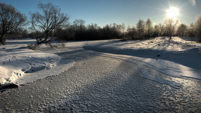 Snowy field tree sun trail free wallpaper - medium preview image