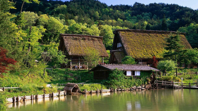 Lake house forest scene ecological free wallpaper - medium preview image