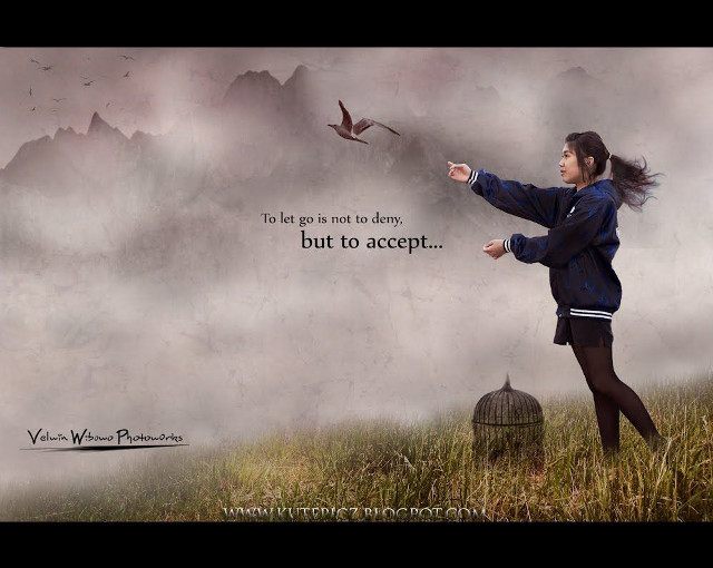 Woman field bird flying above free wallpaper - medium preview image