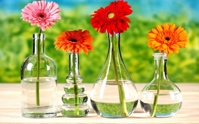 Three vases flowers table water free wallpaper - medium preview image