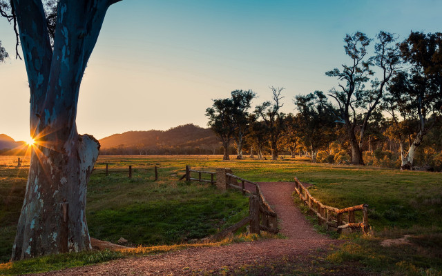 Sunset tree fence bush autumn free wallpaper - medium preview image