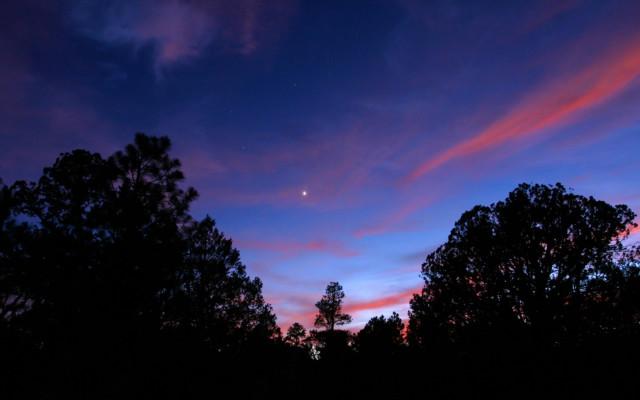 Purple sky clouds trees night free wallpaper - medium preview image
