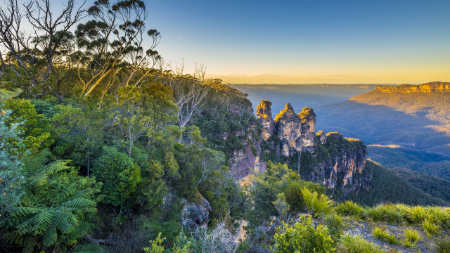Mountain range sunset forest bushes free wallpaper - medium preview image
