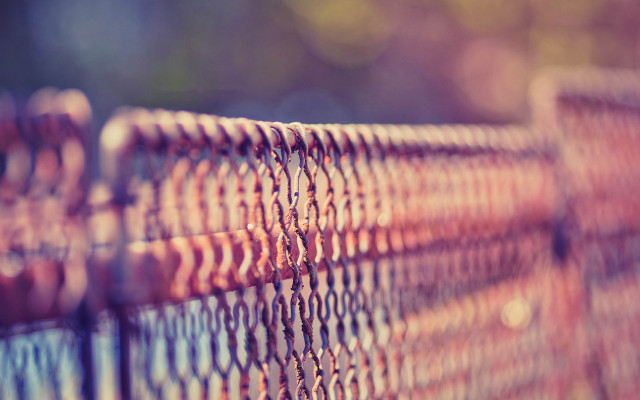 Fence closeup blurry background macro free wallpaper - medium preview image