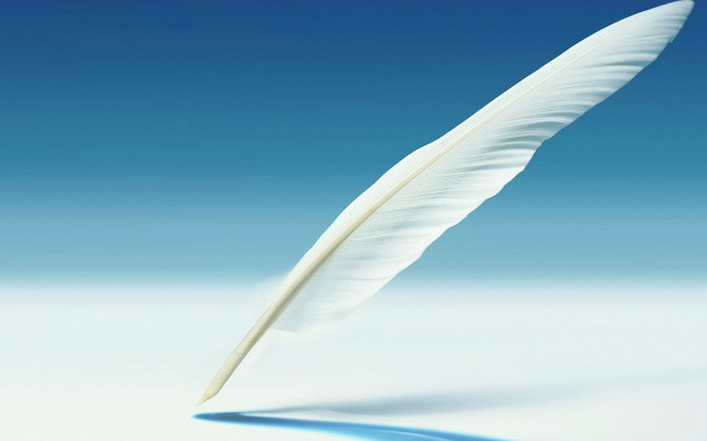 White feather blue surface sky free wallpaper - medium preview image