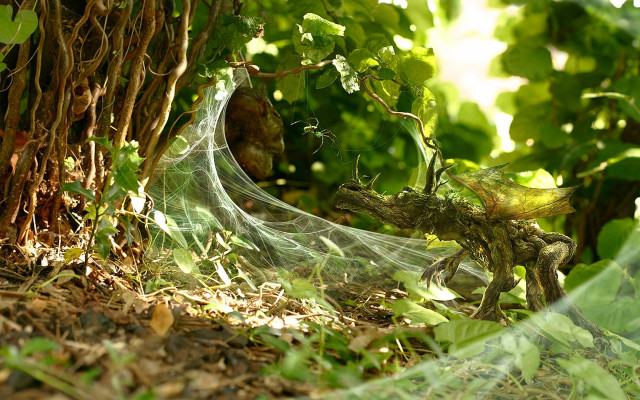 Spider web forest leaves overgrown free wallpaper - medium preview image