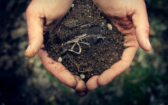 Dirt hands ecological art roots free wallpaper - medium preview image