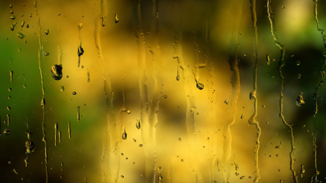 Rainy window blurry tree impressionism free wallpaper - medium preview image