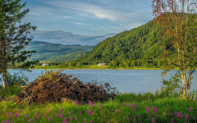 Lake mountains trees house flowers free wallpaper - medium preview image