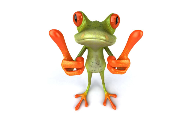 Red eye frog orange fingers free wallpaper - medium preview image