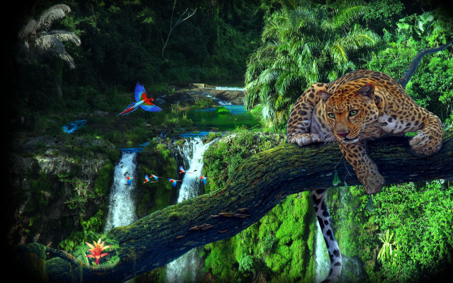 Leopard tree branch jungle waterfall free wallpaper - medium preview image