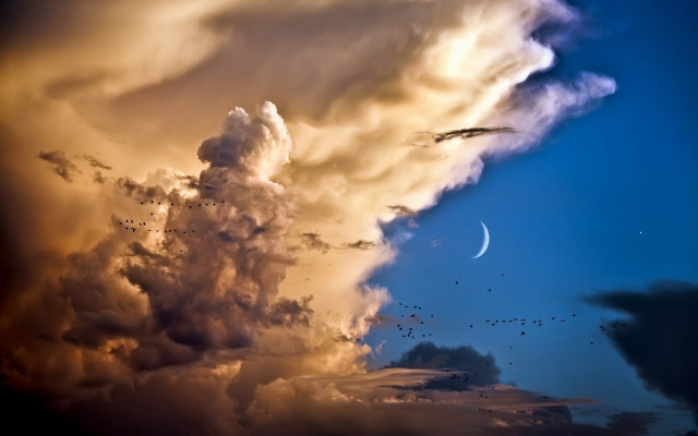 Large cloud crescent moon matte free wallpaper - medium preview image