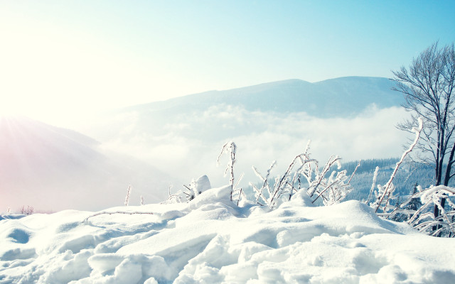 Skiing winter landscape mountains trees free wallpaper - medium preview image