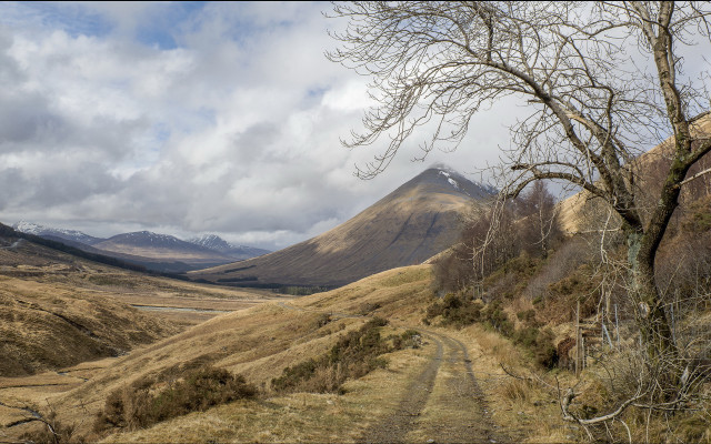 Dirt road valley mountain tree free wallpaper - medium preview image