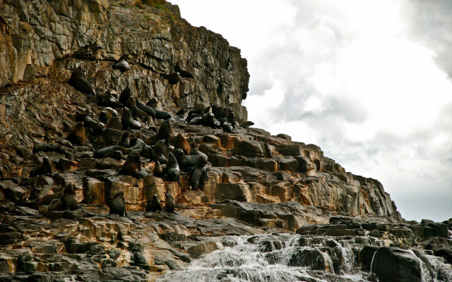 Birds cliff waterfall cloudy sky free wallpaper - medium preview image