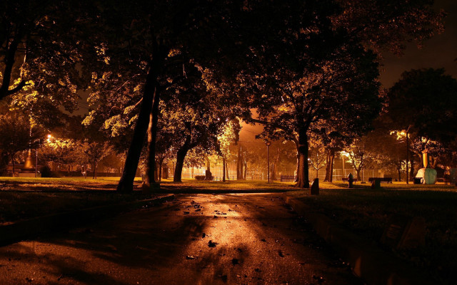 Park night path bench trees free wallpaper - medium preview image