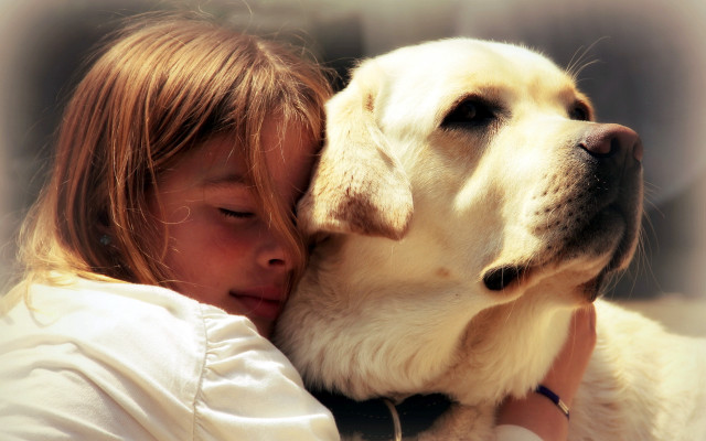 Girl hugging dog closed eyes free wallpaper - medium preview image