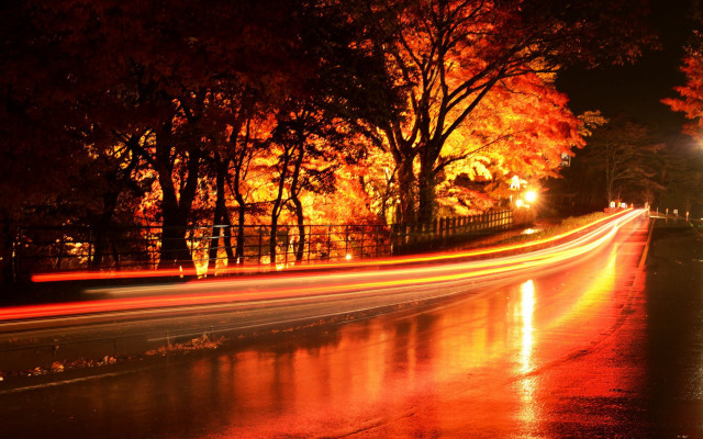 Night street fence trees lights free wallpaper - medium preview image