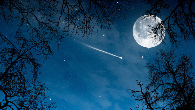 Sky moon trees shooting star free wallpaper - medium preview image